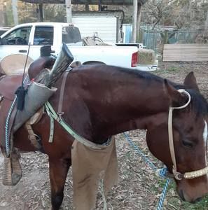 Meet your Posher, Ricky